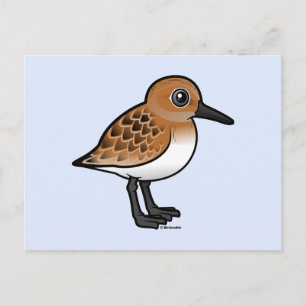 Postal Sanderling