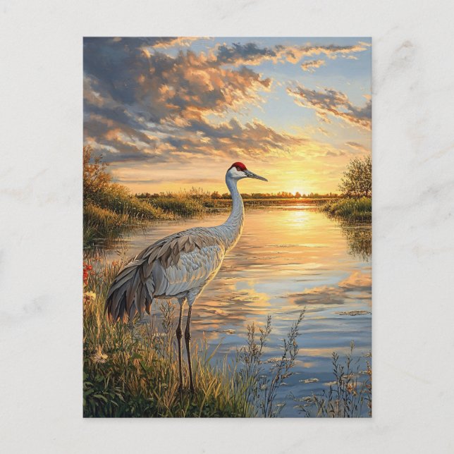 Postal Sandhill Crane al atardecer (Anverso)