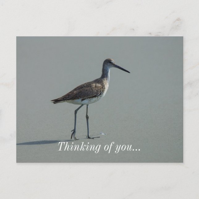 Postal Sandpiper Pose (Anverso)