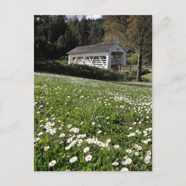 Postal Sandy Cr. Puente cubierto (Anverso)