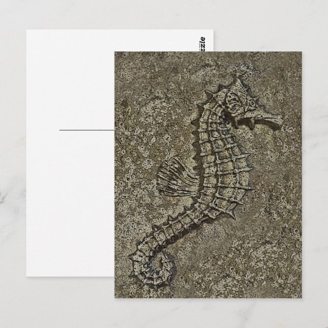 Postal Sandy Textured Seahorse Photography (Anverso / Reverso)