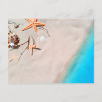 Sandy Tropical Beach Starfish Seashell