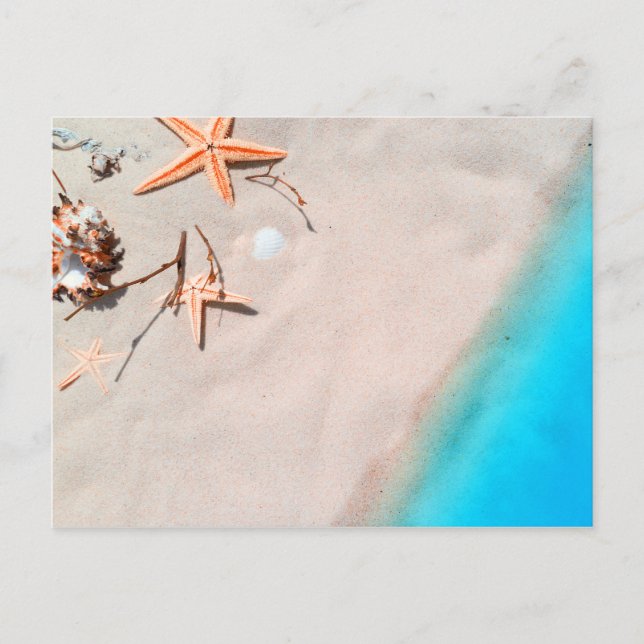 Postal Sandy Tropical Beach Starfish Seashell (Anverso)