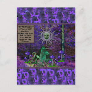 Postal Sangre De Los Antiguos