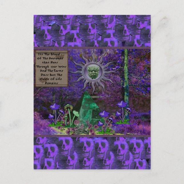 Postal Sangre De Los Antiguos (Anverso)