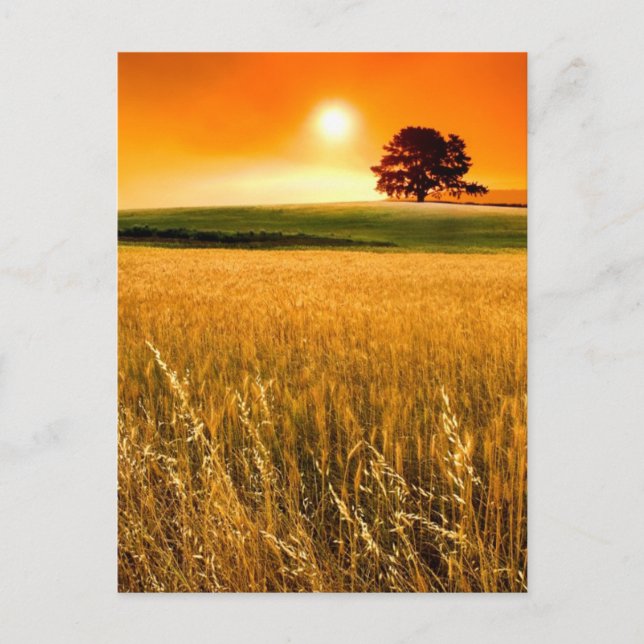 Postal Sangre-Red Sunset (Anverso)