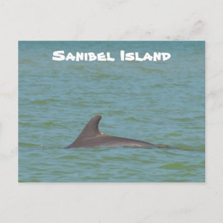 Postal Sanibel Dolphin