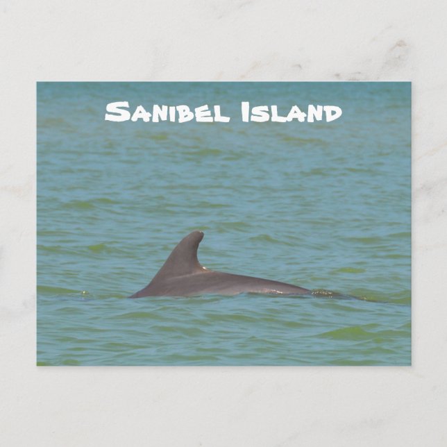 Postal Sanibel Dolphin (Anverso)
