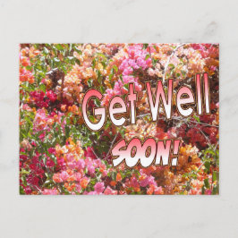 Postal sanitaria de Bougainvillea