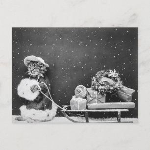 Postal Santa Cat, un gato de Santa Claus