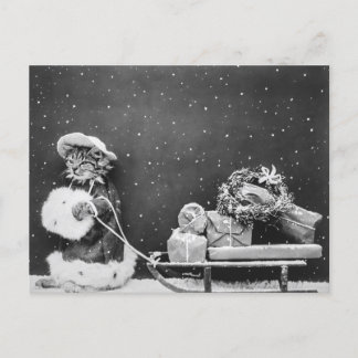 Postal Santa Cat, un gato de Santa Claus