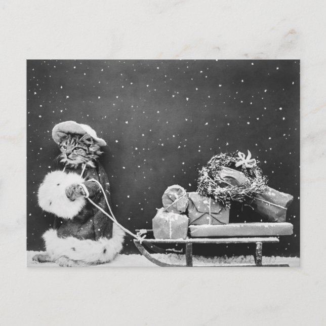 Postal Santa Cat, un gato de Santa Claus (Anverso)
