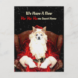 Postal Santa Chihuahua Perro Red Funny Nueva dirección en