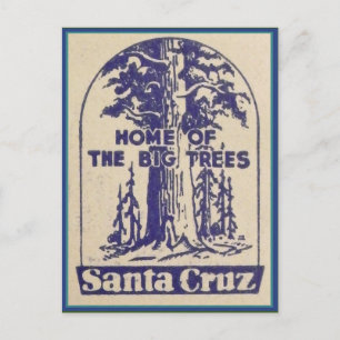 Postal Santa Cruz California - Casa de los Grandes Árbole