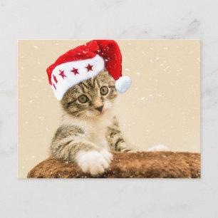 Postal Santa Gato