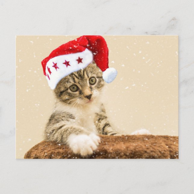 Postal Santa Gato (Anverso)
