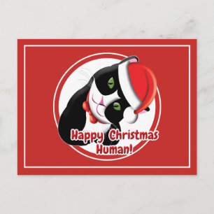Postal Santa Gato