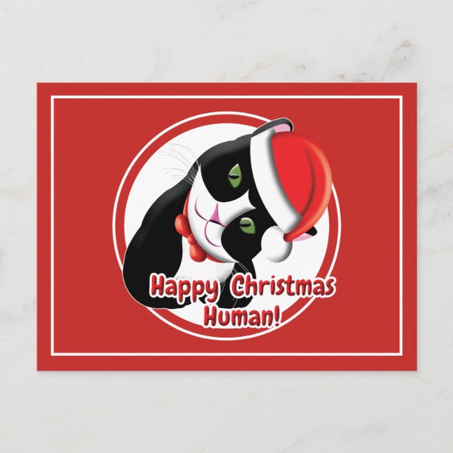 Postal Santa Gato (Anverso)