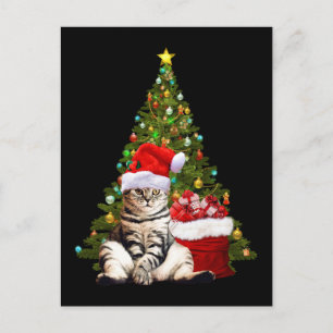 Postal Santa Gato
