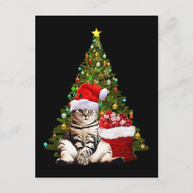 Postal Santa Gato (Anverso)