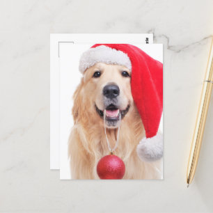 Postal Santa Hat de Golden Retriever