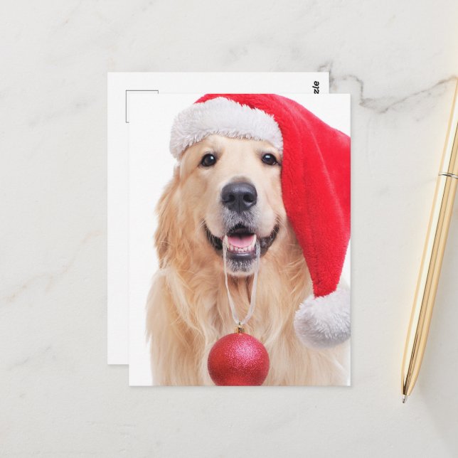 Postal Santa Hat de Golden Retriever (Anverso/Reverso In Situ)