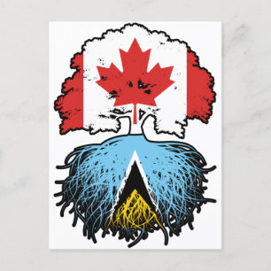 Postal Santa Lucía Santa Lucía Raíz canadiense de árbol c