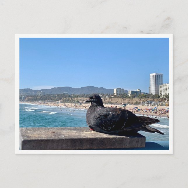 Postal Santa Mónica, CA (Anverso)