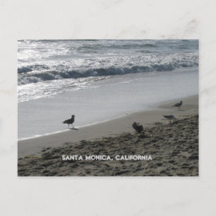 Postal Santa Mónica, California Postcard