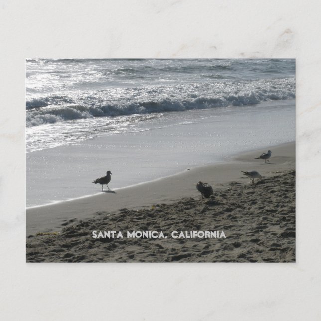 Postal Santa Mónica, California Postcard (Anverso)
