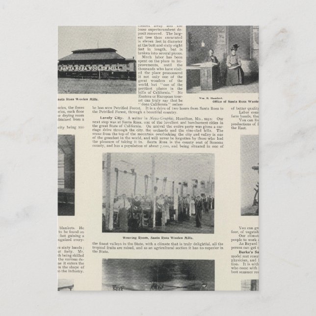 Postal Santa Rosa, California (Anverso)