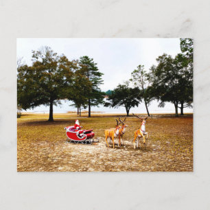 Postal Santa Sleigh Y Los Renos
