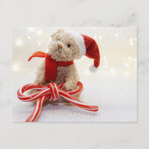 Postal Santa Teddy Bear