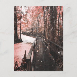 Postal santant swamp dreamscape