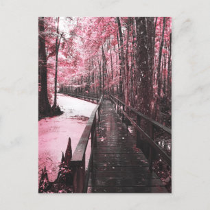 Postal santant swamp dreamscape