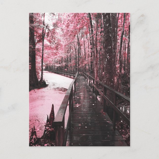 Postal santant swamp dreamscape (Anverso)