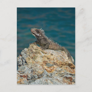 Postal Santo Tomás, Iguana