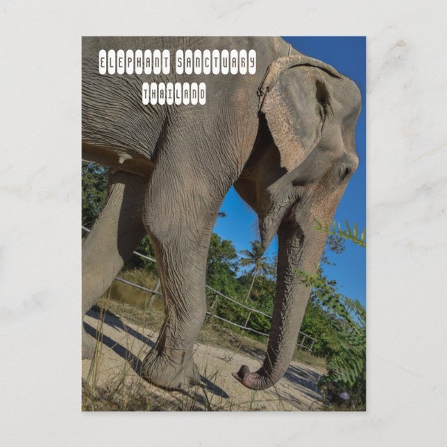 Postal Santuario de la jungla de elefantes (Anverso)