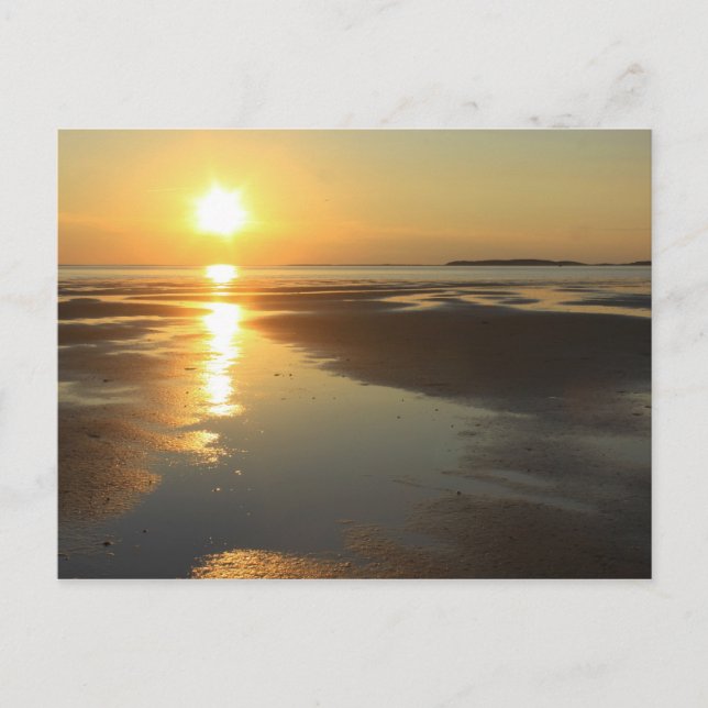 Postal Santuario de Vida Silvestre de la Bahía de la Flot (Anverso)