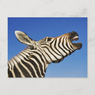 Postal Santuario de vida silvestre Harnas, Namibia, sur