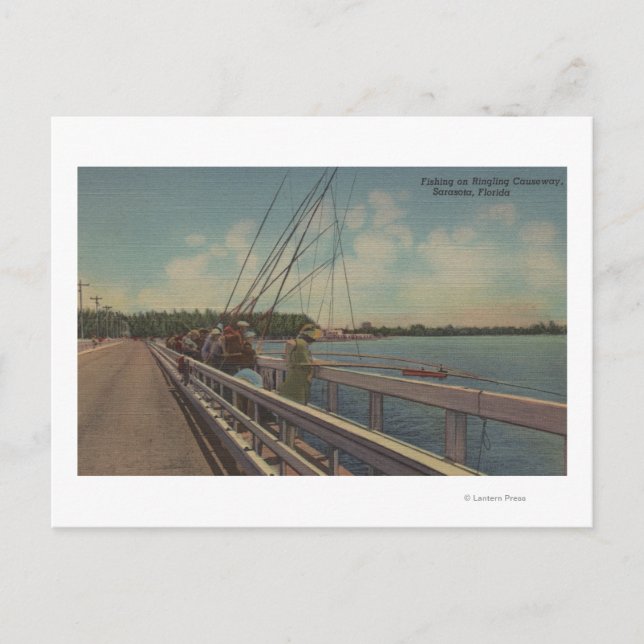Postal Sarasota, FL - Vista de la gente pescando (Anverso)