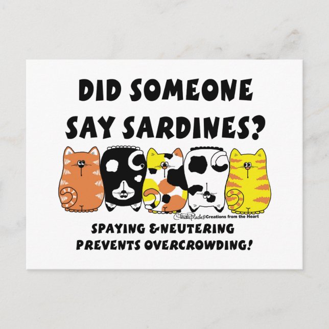 Postal Sardine Cats (Anverso)