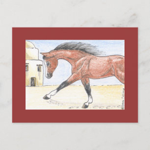 Postal "Saree bint Sehkit"