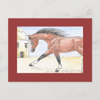 Postal "Saree bint Sehkit"