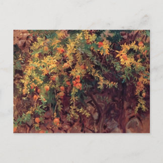Postal Sargento John Singer - Pomegranatos