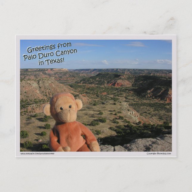 Postal Saru #3 (Anverso)