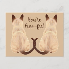 Postal Sasha Siamese Cat Lover Back View You are Purrfect