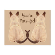 Sasha Siamese Cat Lover Back View You are Purrfect