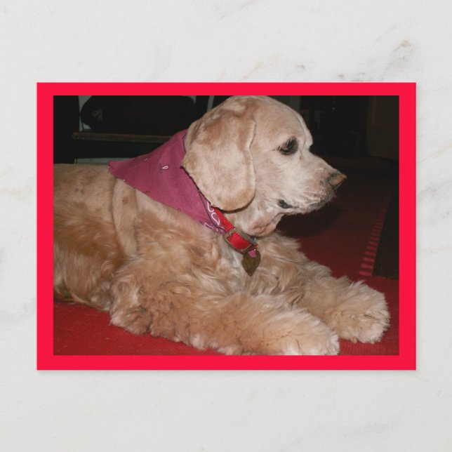 Postal sassygirl (Anverso)