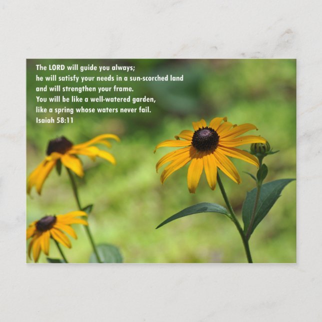 Postal Satisfacción en una tierra sacudida por el sol (Anverso)